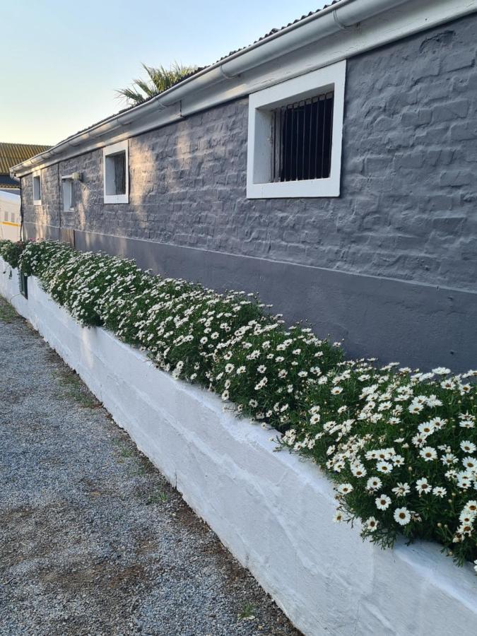 Prosper Stud Guest House Robertson Esterno foto