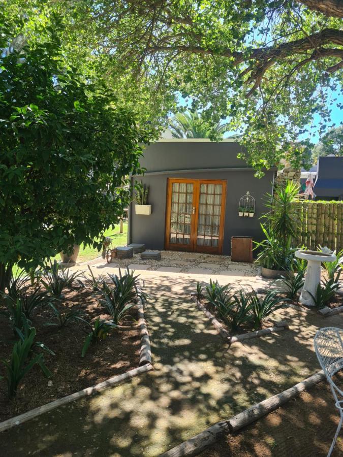 Prosper Stud Guest House Robertson Esterno foto