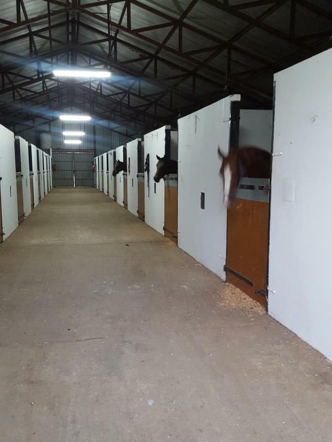 Prosper Stud Guest House Robertson Esterno foto